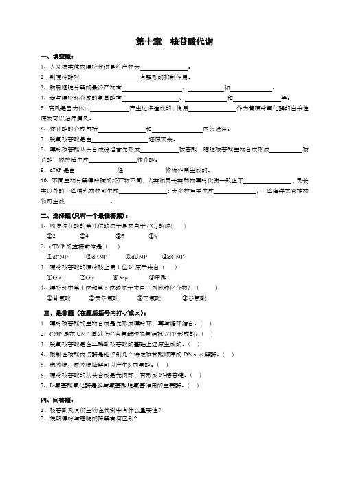 第十章 核苷酸代谢