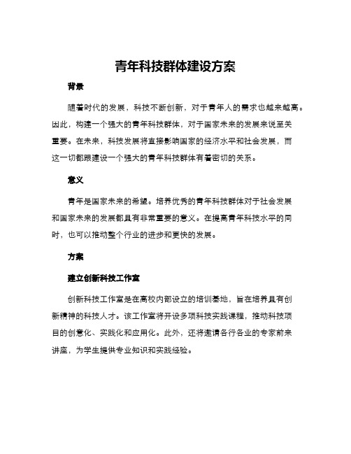 青年科技群体建设方案