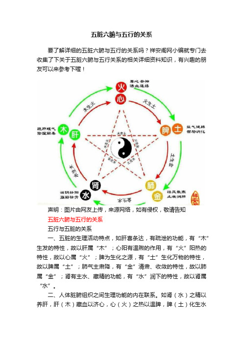 五脏六腑与五行的关系