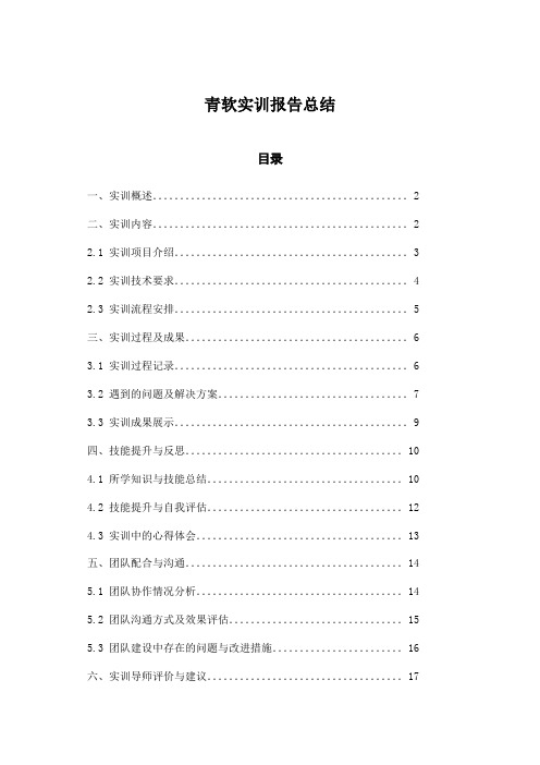 青软实训报告总结