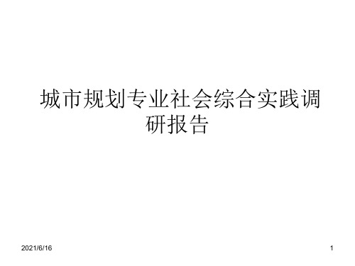 城市规划专业社会综合实践调研报告