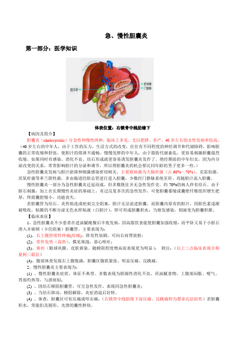 急慢性胆囊炎的诊断和用药