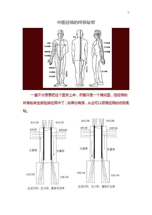 中医经络的终极秘密