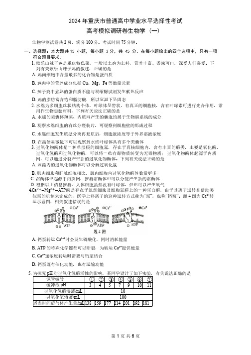 2024年重庆市高三一模生物试题及答案