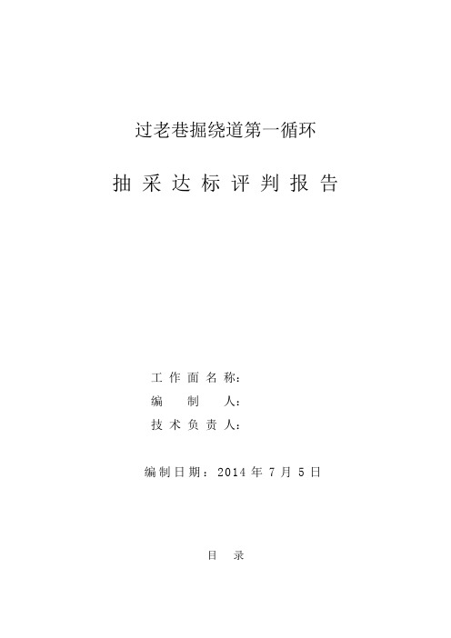 瓦斯抽采达标评判报告综述