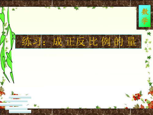 新人教版六年级下册数学正反比例精选练习题.. 共53页