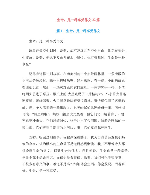 生命,是一种享受作文22篇