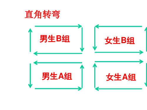 人教版九年级体育与健康短棍课件