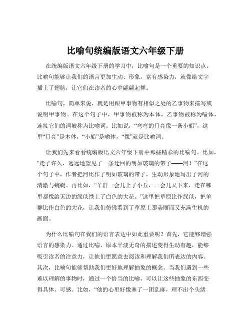 比喻句统编版语文六年级下册