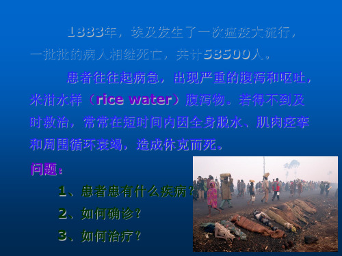 霍乱弧菌