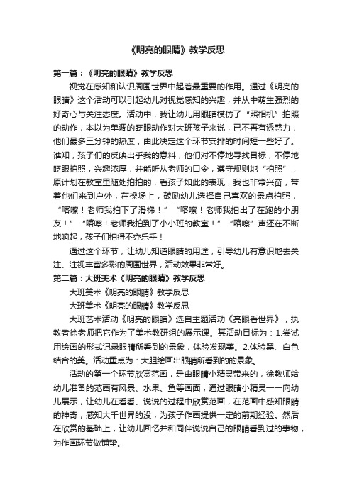 《明亮的眼睛》教学反思