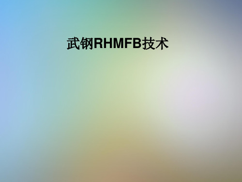 武钢RHMFB技术