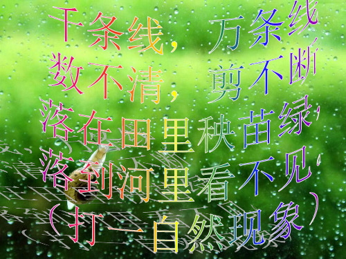 四年级上册科学课件-15下雨啦 |鄂教版 (共15张PPT)