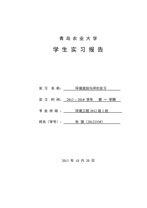 环境规划评价实习报告