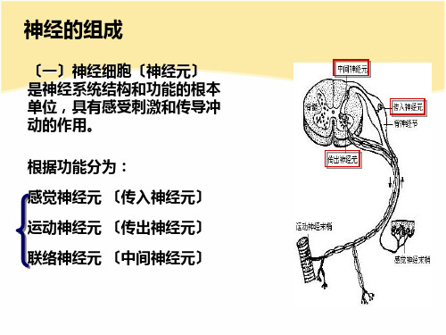 肌萎缩侧索硬化病人的护理查房