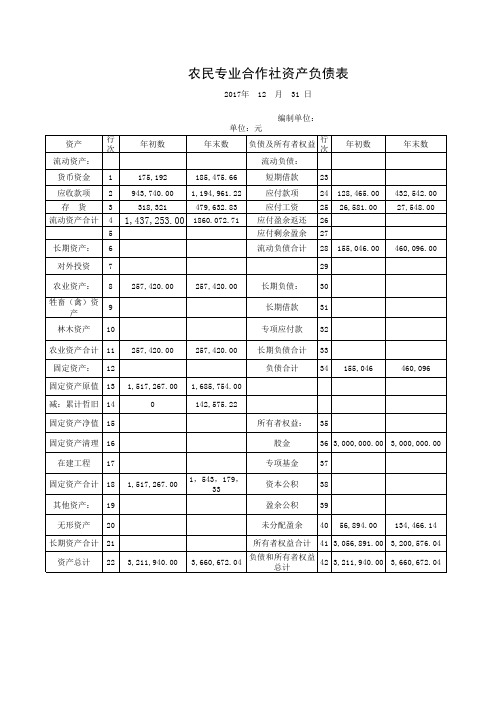 农村合作社负债表