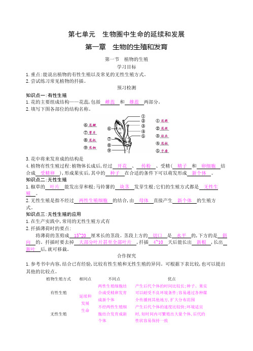 八年级下《植物的生殖》导学案