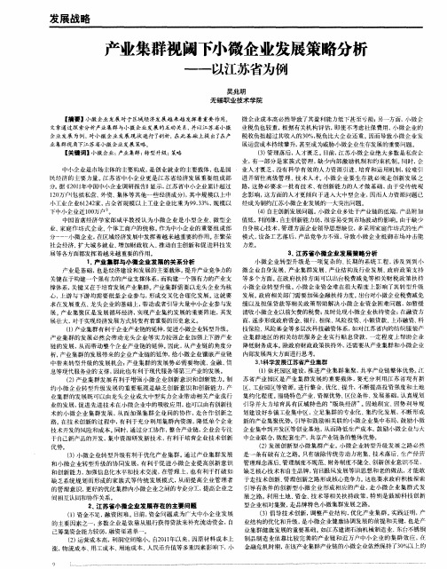 产业集群视阈下小微企业发展策略分析——以江苏省为例