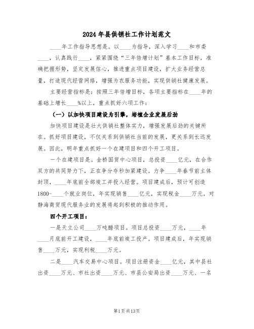 2024年县供销社工作计划范文(四篇)
