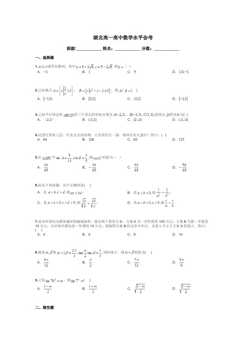 湖北高一高中数学水平会考带答案解析
