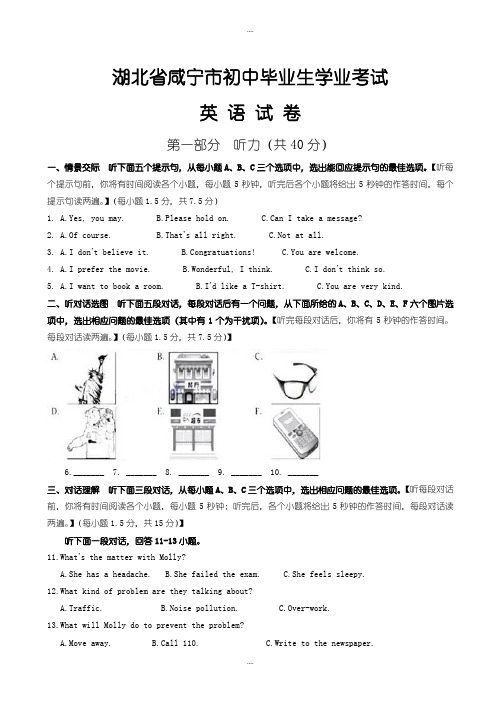 精选湖北省咸宁市中考英语模拟试卷(word版,有详细答案及听力)