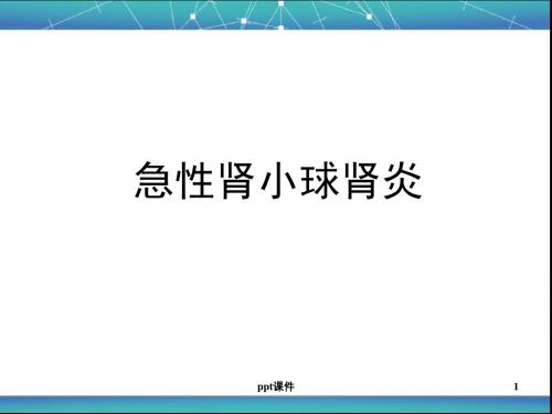 儿科急性肾小球肾炎  ppt课件