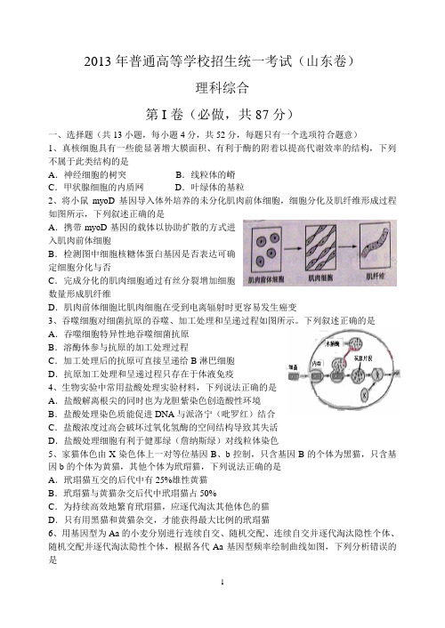 2013年山东高考理综word(无答案) 2