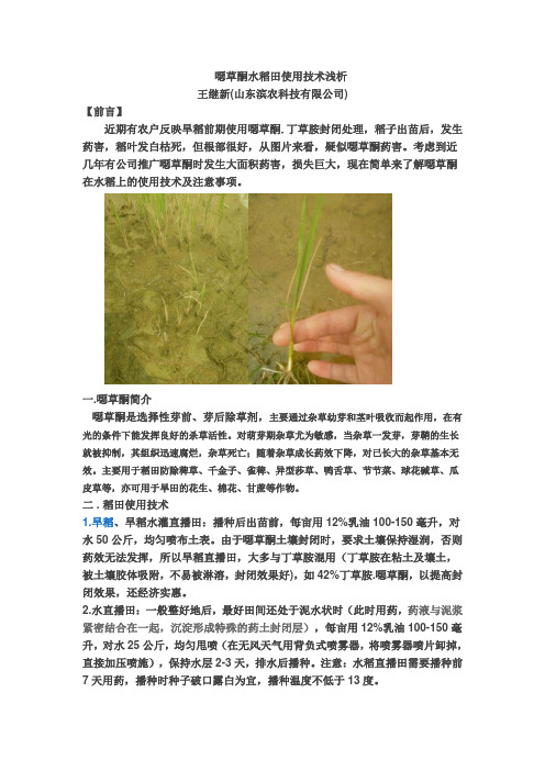 恶草酮水稻使用技术浅析