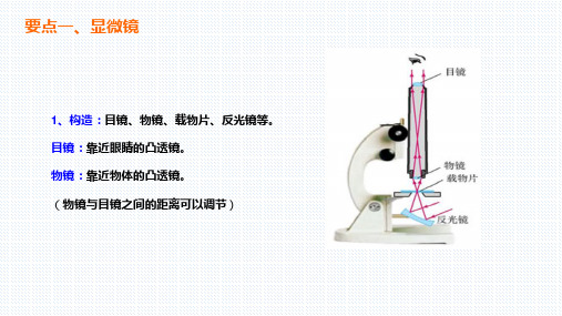 八年物理上章节要点梳理  显微镜和望远镜