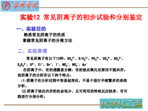 实验常见阴离子的初步试验和分别鉴定