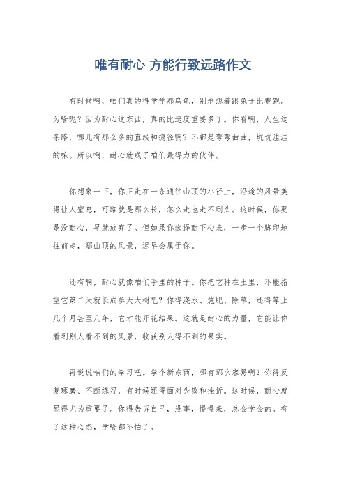 唯有耐心 方能行致远路作文