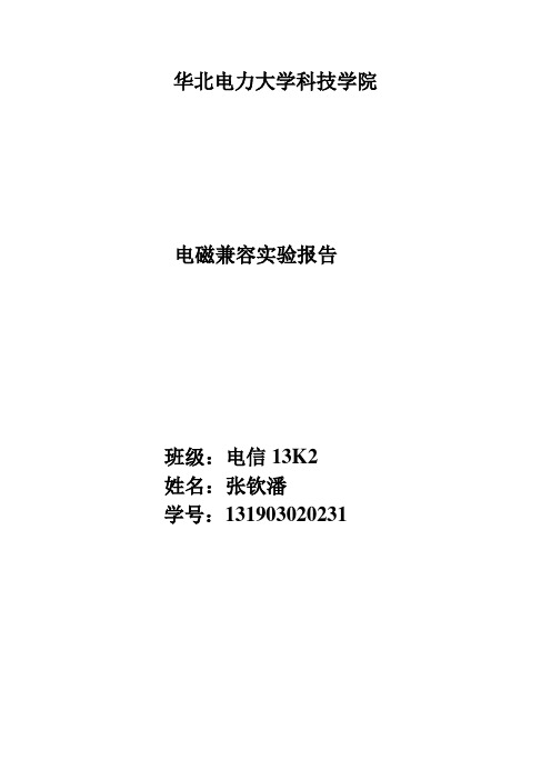 华北电力大学科技学院浪涌(冲击)实验