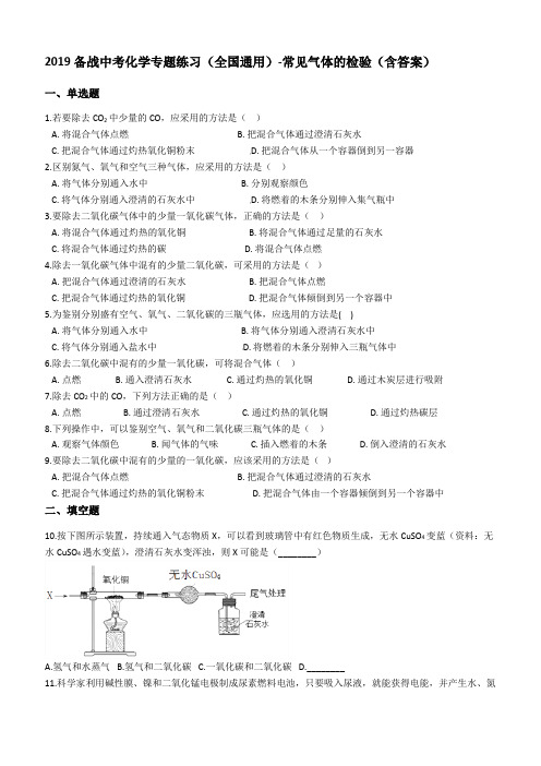 2019年中考化学专题练习-常见气体的检验含答案