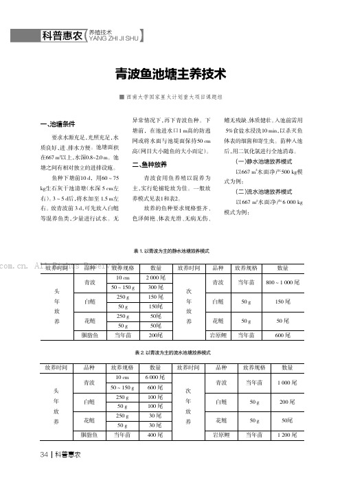 青波鱼池塘主养技术