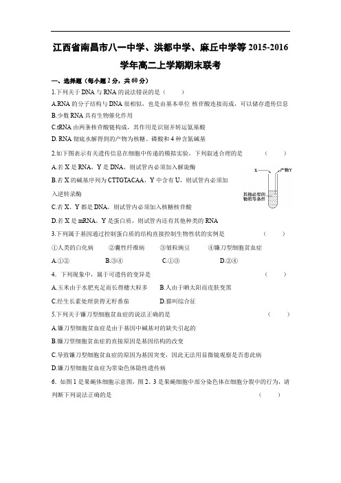 南昌市八一中学、洪都中学、麻丘中学等2015-2016学年高二上学期期末生物试题及答案联考