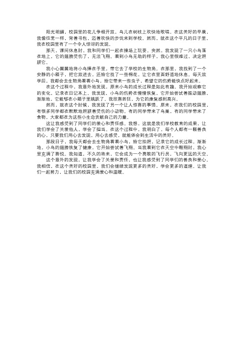 我在校园的意外发现