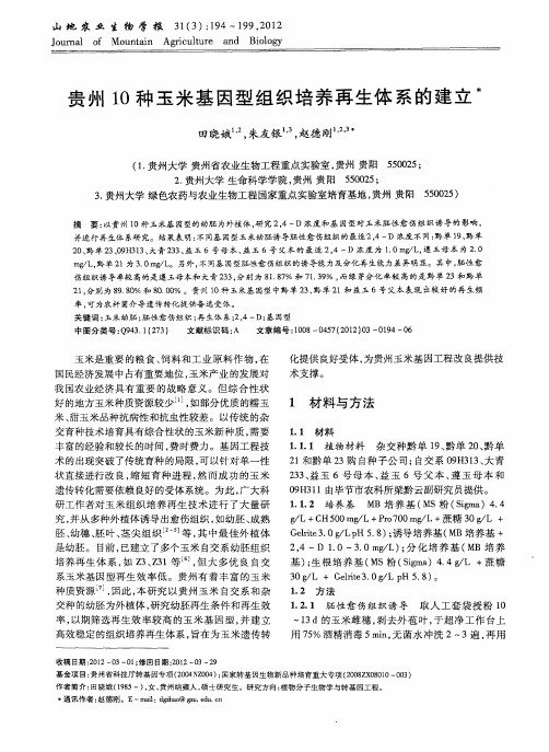 贵州10种玉米基因型组织培养再生体系的建立