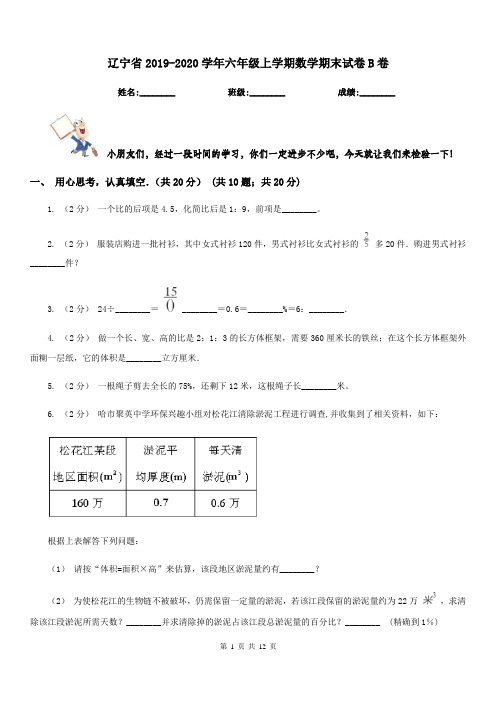 辽宁省2019-2020学年六年级上学期数学期末试卷B卷(测试)