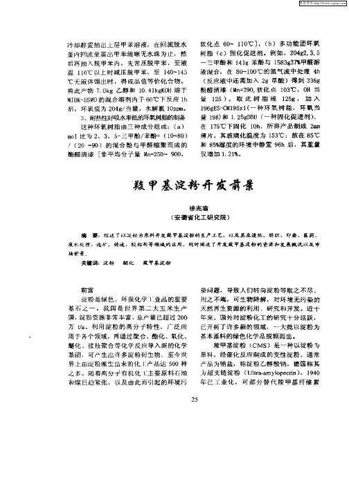 羧甲基淀粉开发前景