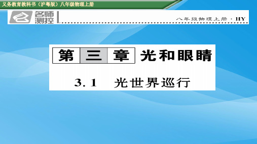 初二物理3.1 光世界巡行(2016年中考题)物理课件PPT