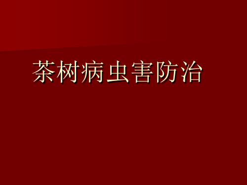 茶树病虫害防治课件_ 昆虫基础知识2