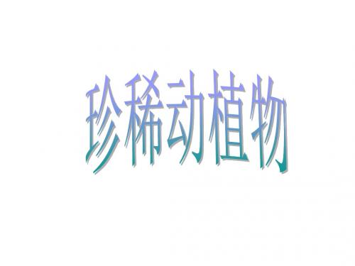 小学六年级科学上册 第5单元 24 珍稀动植物名师公开课省级获奖课件6 青岛版