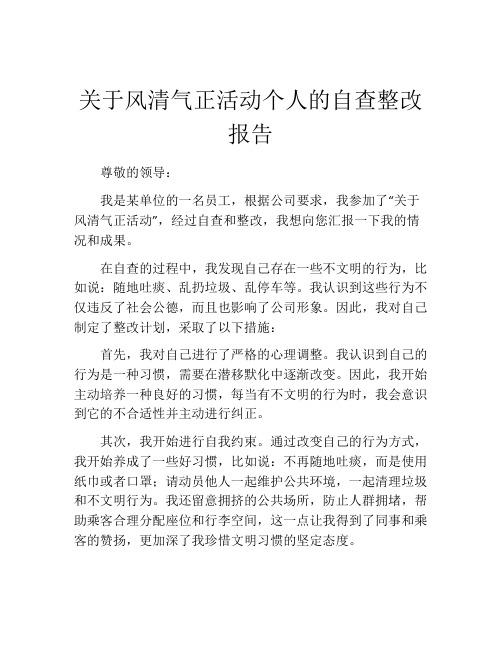 关于风清气正活动个人的自查整改报告