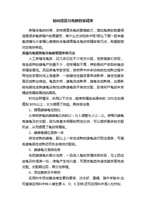 如何提高乌龟卵的受精率