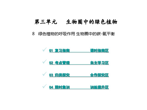 中考达州生物复习课件：第三单元 8 绿色植物的呼吸作用 生物圈中的碳氧平衡(共31张PPT)