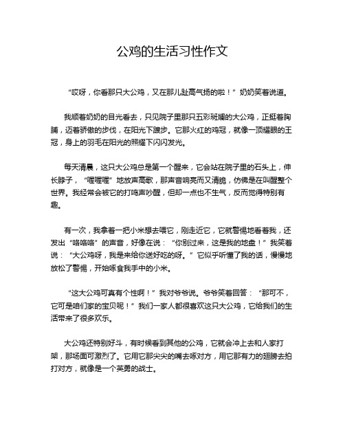 公鸡的生活习性作文