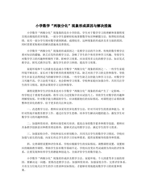 小学数学“两极分化”现象形成原因与解决措施