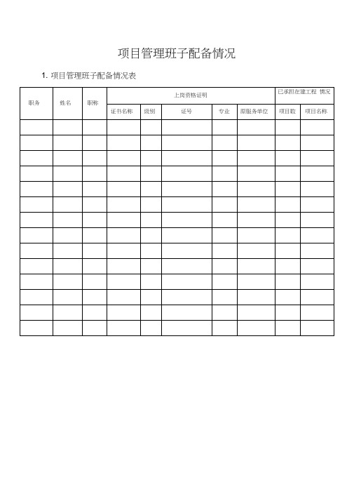 (完整版)项目管理班子人员配备表及相关说明