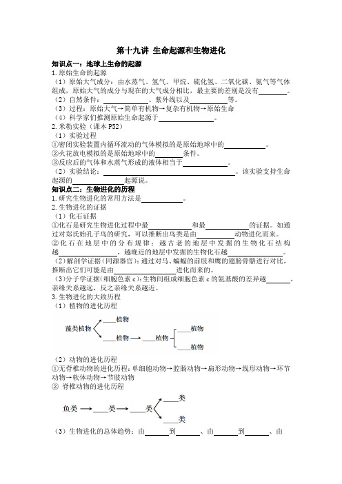 2024年生物中考一轮复习专项训练：第十九讲 生命起源和生物进化