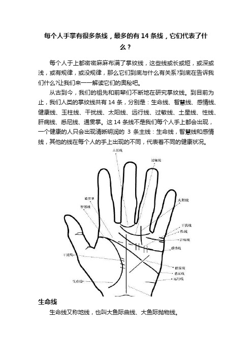 每个人手掌有很多条线，最多的有14条线，它们代表了什么？